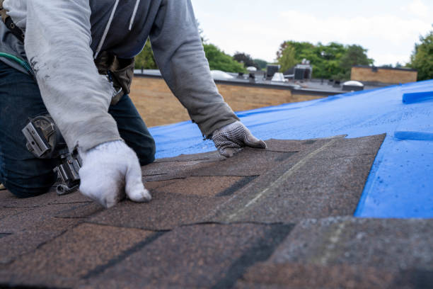Best Storm Damage Roof Repair  in Macon, MS